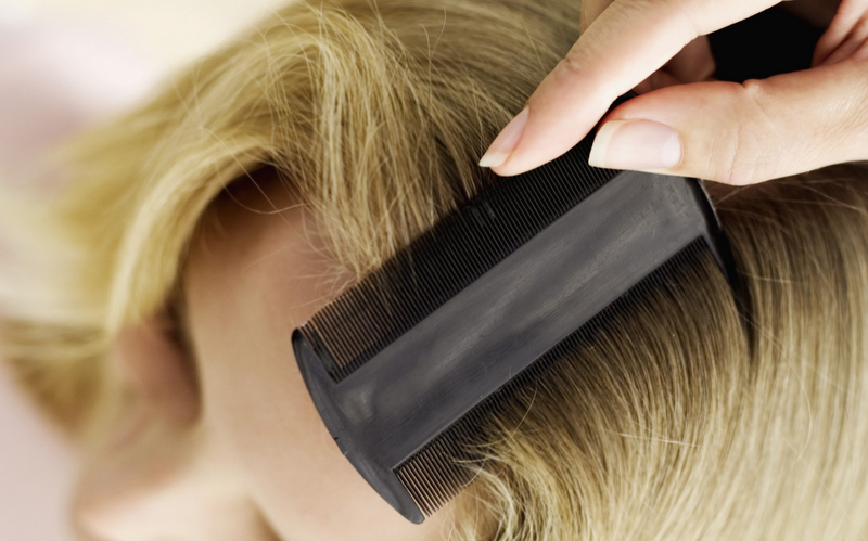 Be prepared to treat everybody in the family when head lice comes home from school