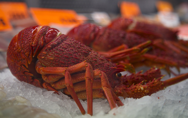Lobster or crayfish