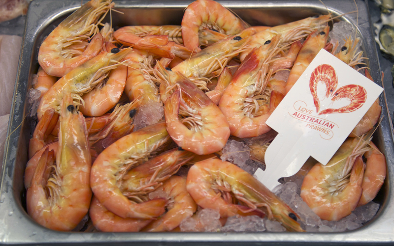 Prawns