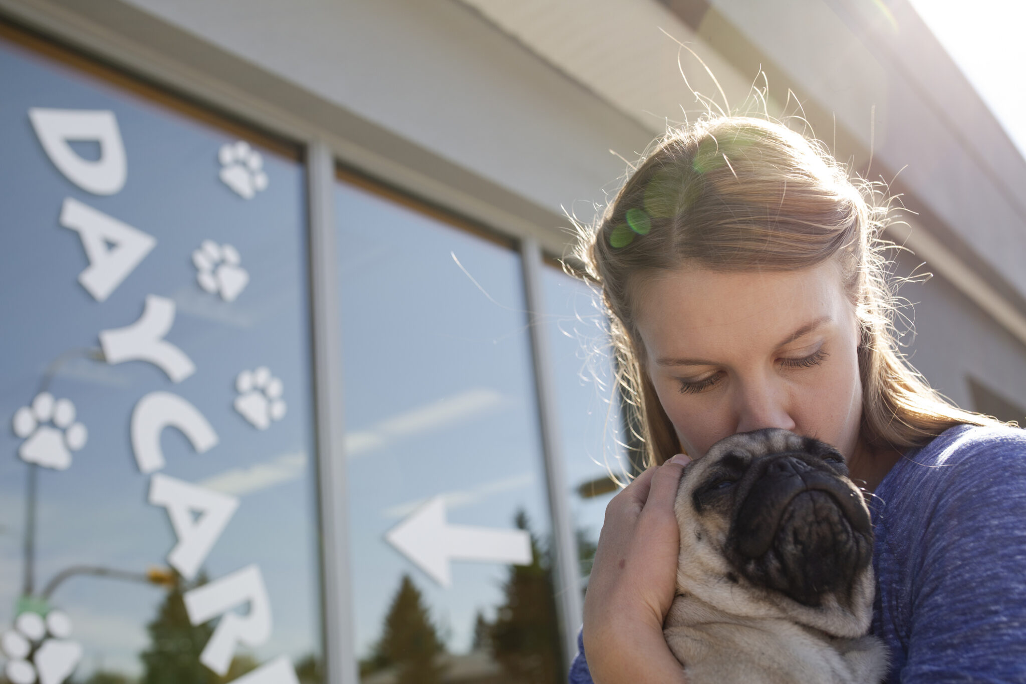 Dog Boarding Cost Guide 2025 dog-boarding-cost-guide-2025